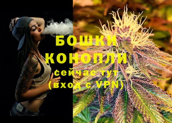 ПСИЛОЦИБИНОВЫЕ ГРИБЫ Каменка