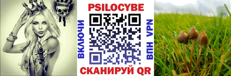 Галлюциногенные грибы прущие грибы  Тюмень 