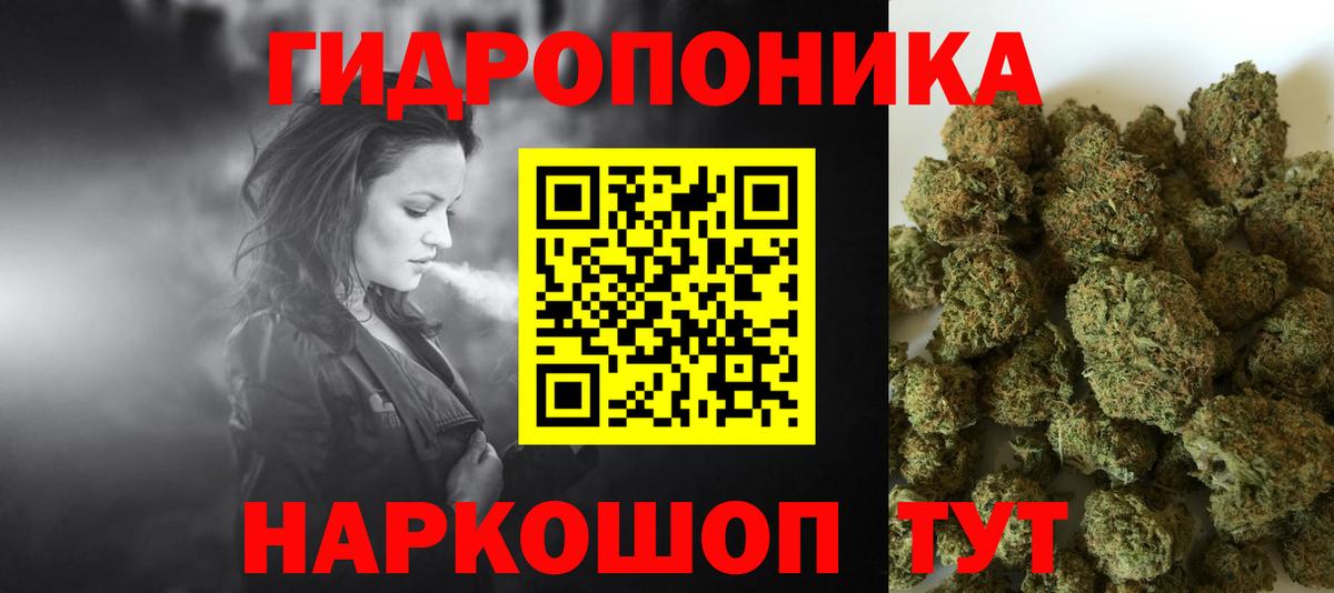 Конопля ГИДРОПОН  Вход с VPN  Каннабис Bruce Banner  Шишки марихуана тримм  Тюмень 